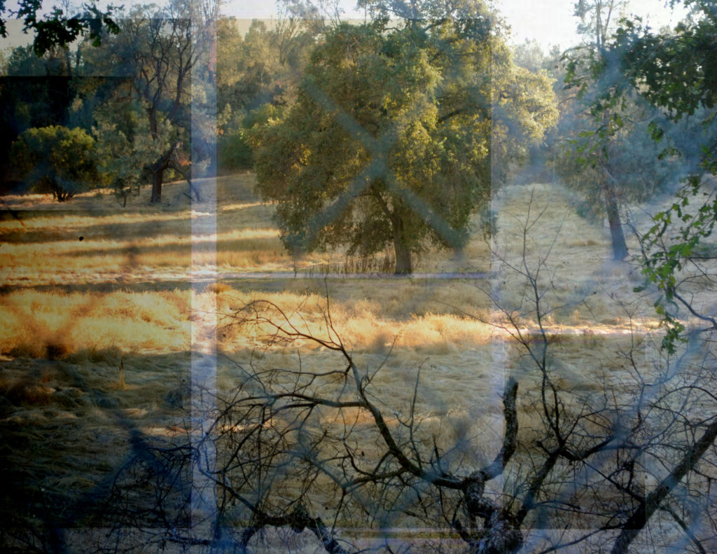 photo graphics final concept1