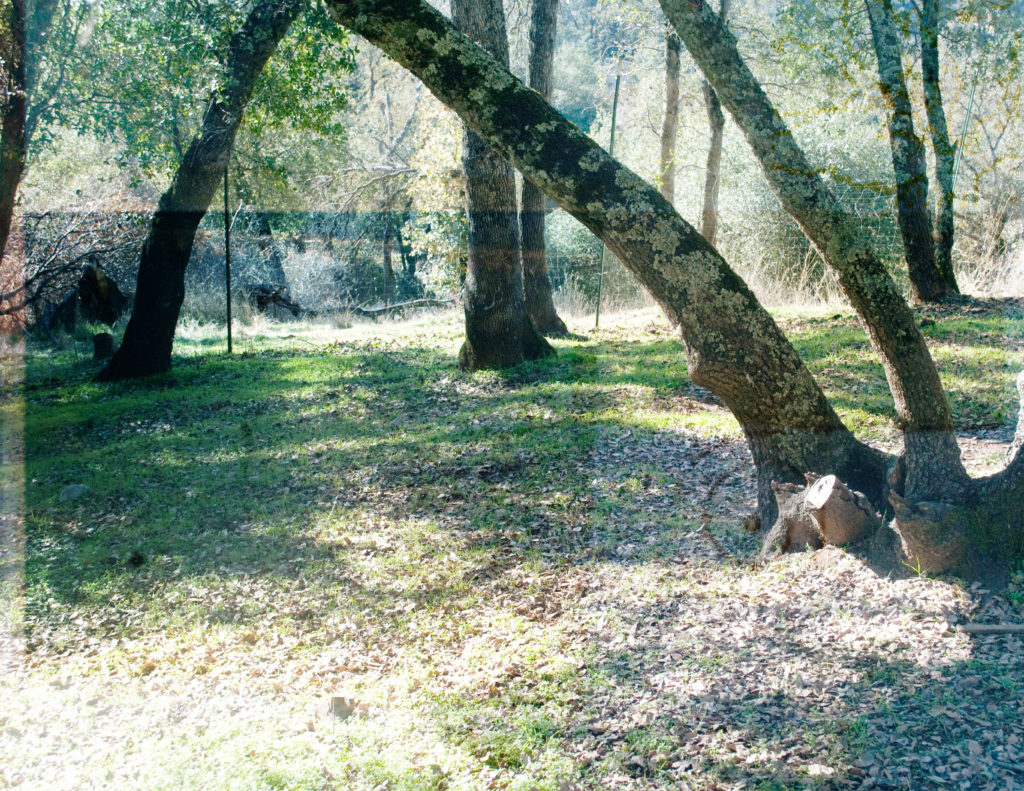 photo graphics final concept5