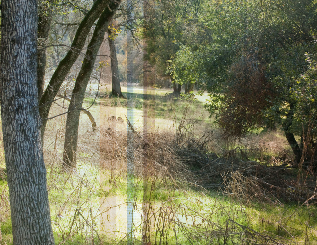 photo graphics final concept7