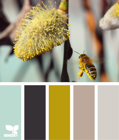 Pollinate Tones
