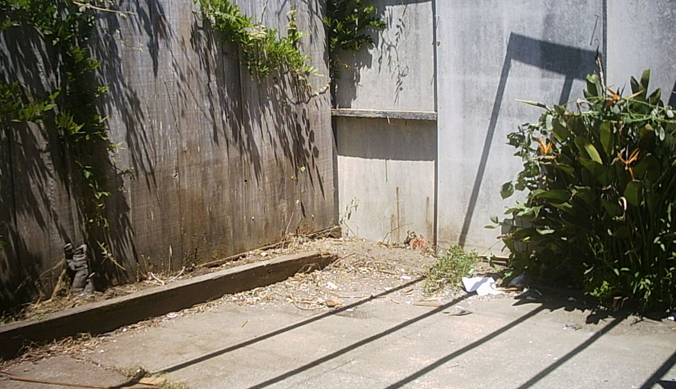 Garbage cleared from the backyard
