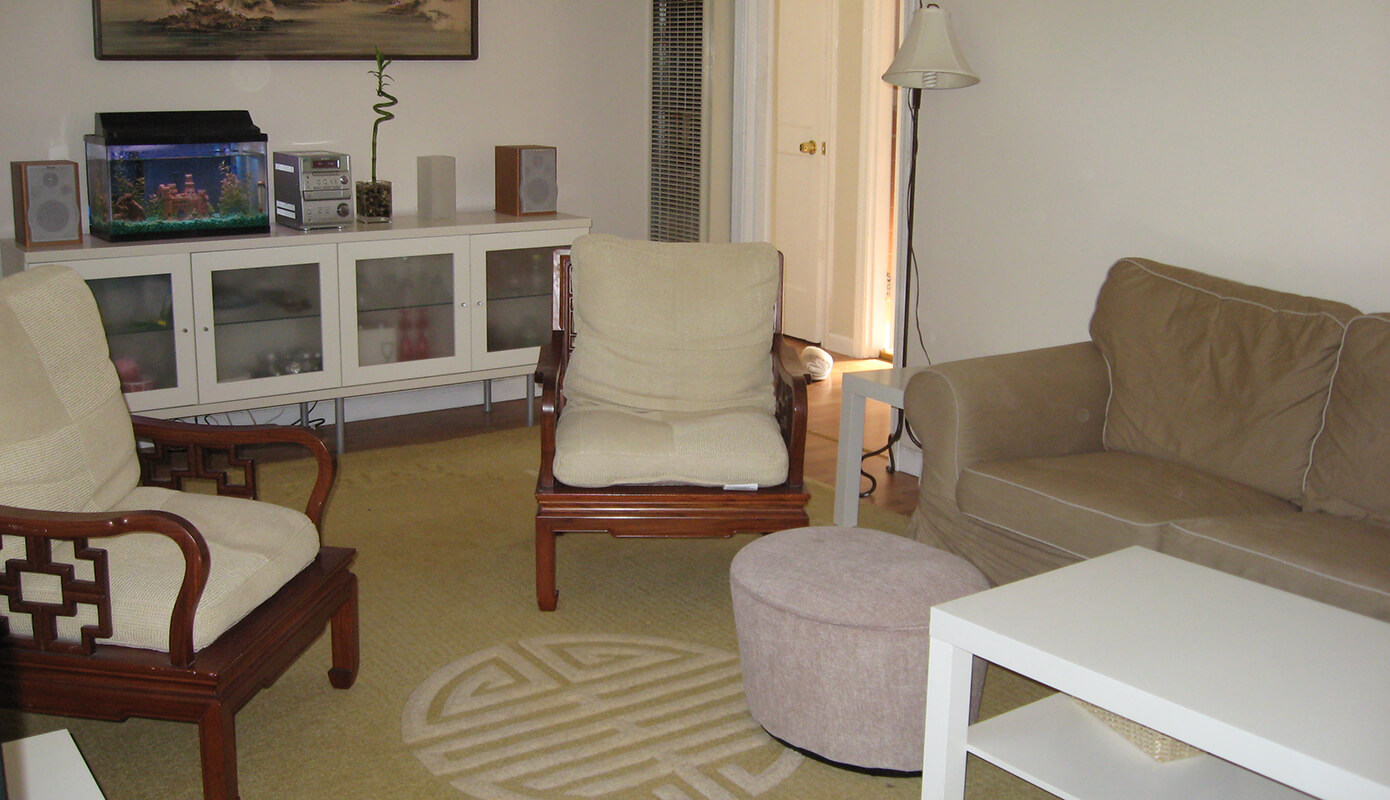 New rug in the living room at The Duplex