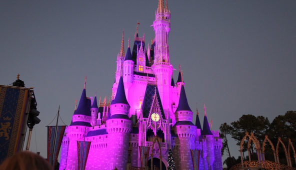 Disney World