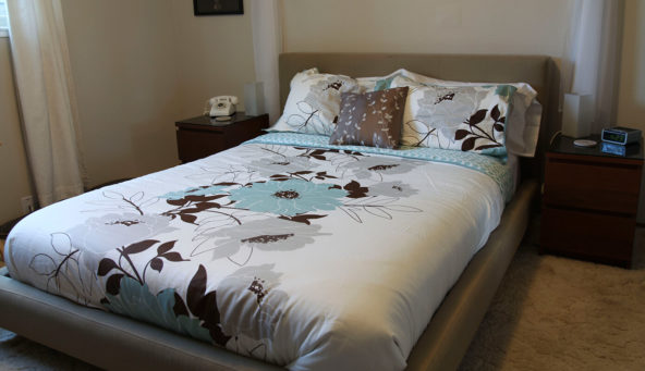 Dwell bedding set from Target