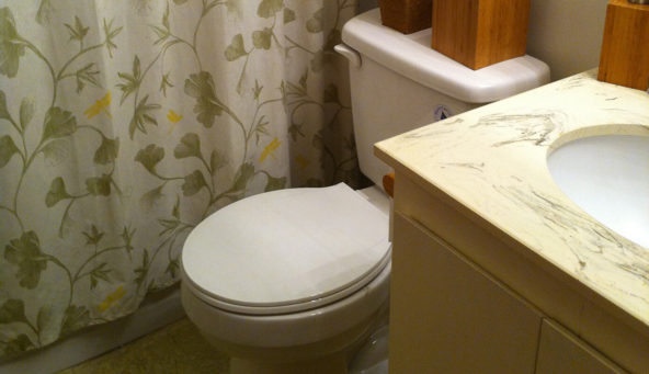 New toilet in the guest bathroom