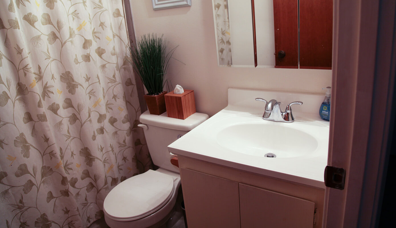 Updated guest bathroom sink