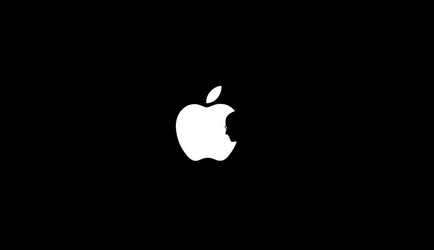 rip steve