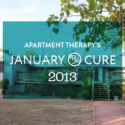 The January Cure 2013 #thejanuarycure #thelovelygeek