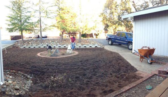 Front Yard Work in Progress