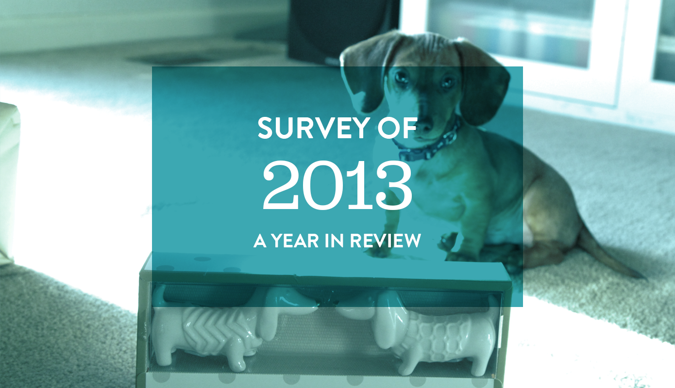 Survey of 2013