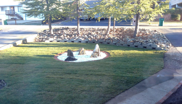 The Front Yard