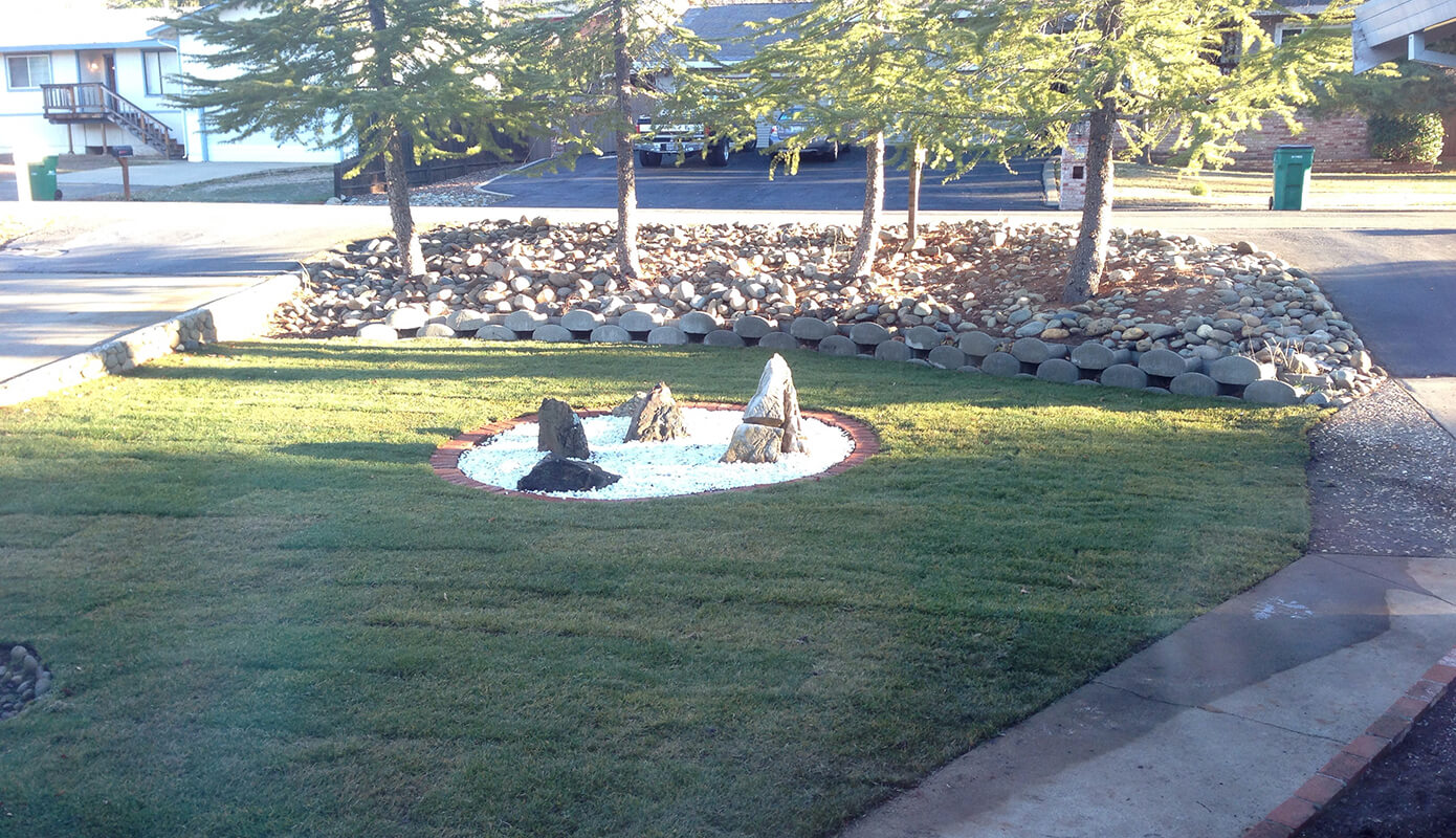 The Front Yard