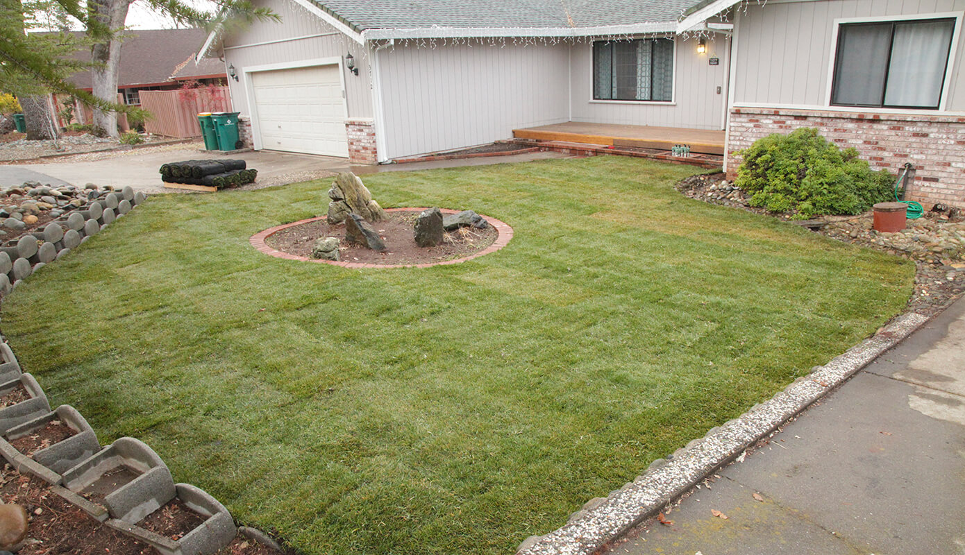Green Grass in the Front Yard