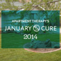 The January Cure 2014 #thejanuarycure #thelovelygeek