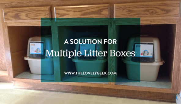 A Solution for Multiple Litter Boxes #pets #cats #thelovelygeek