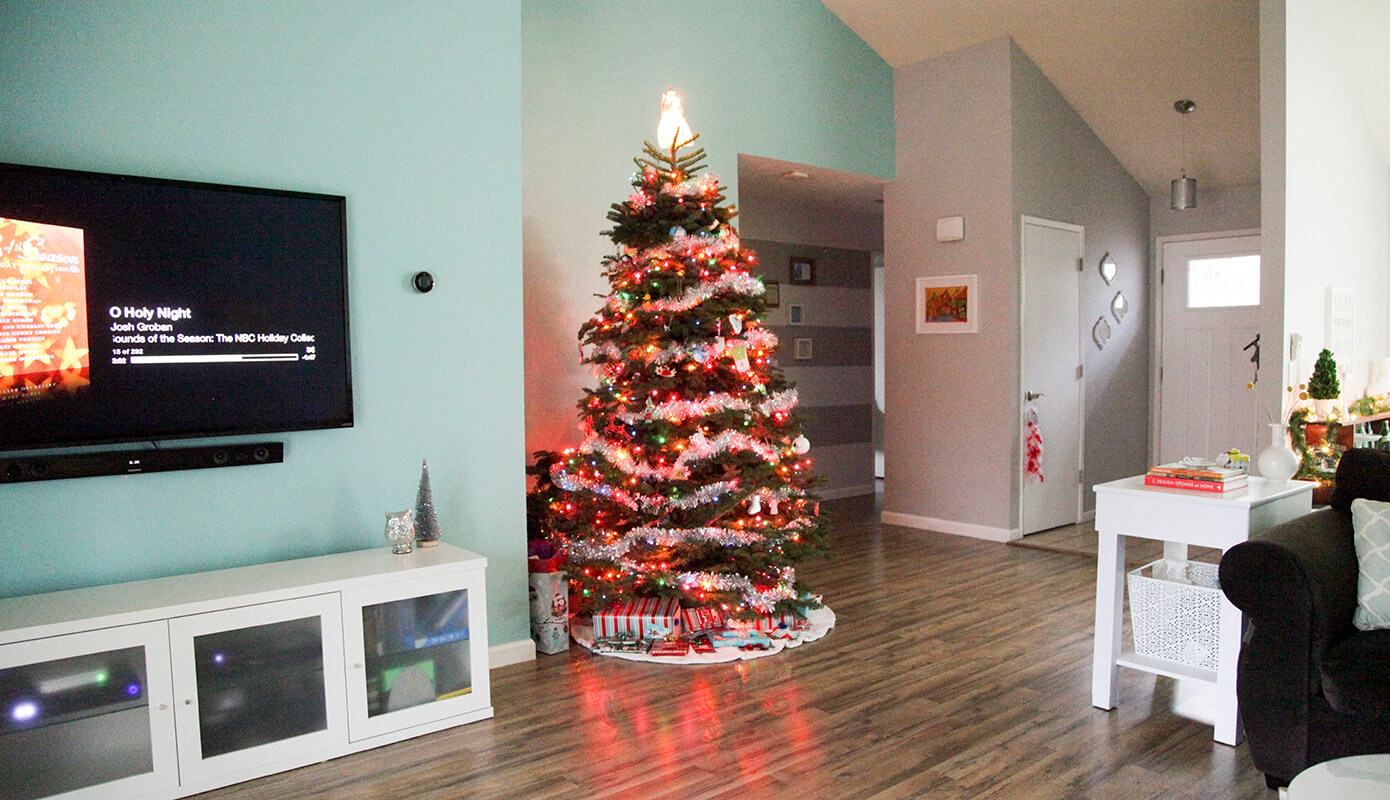 Christmas 2014