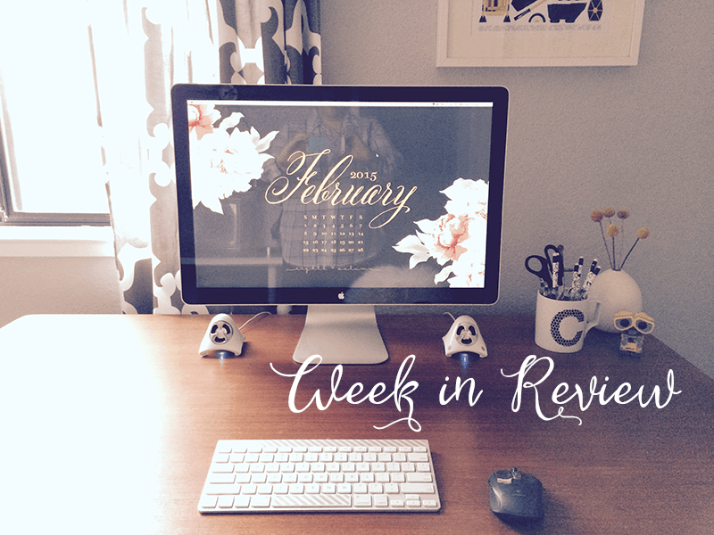 February Week in Review