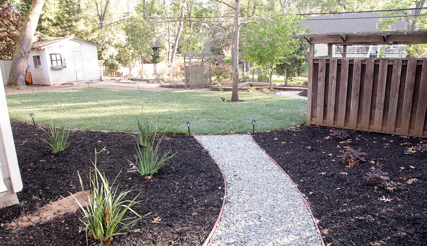 Preview of the finished backyard