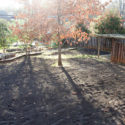 New soil and irrigation in the backyard
