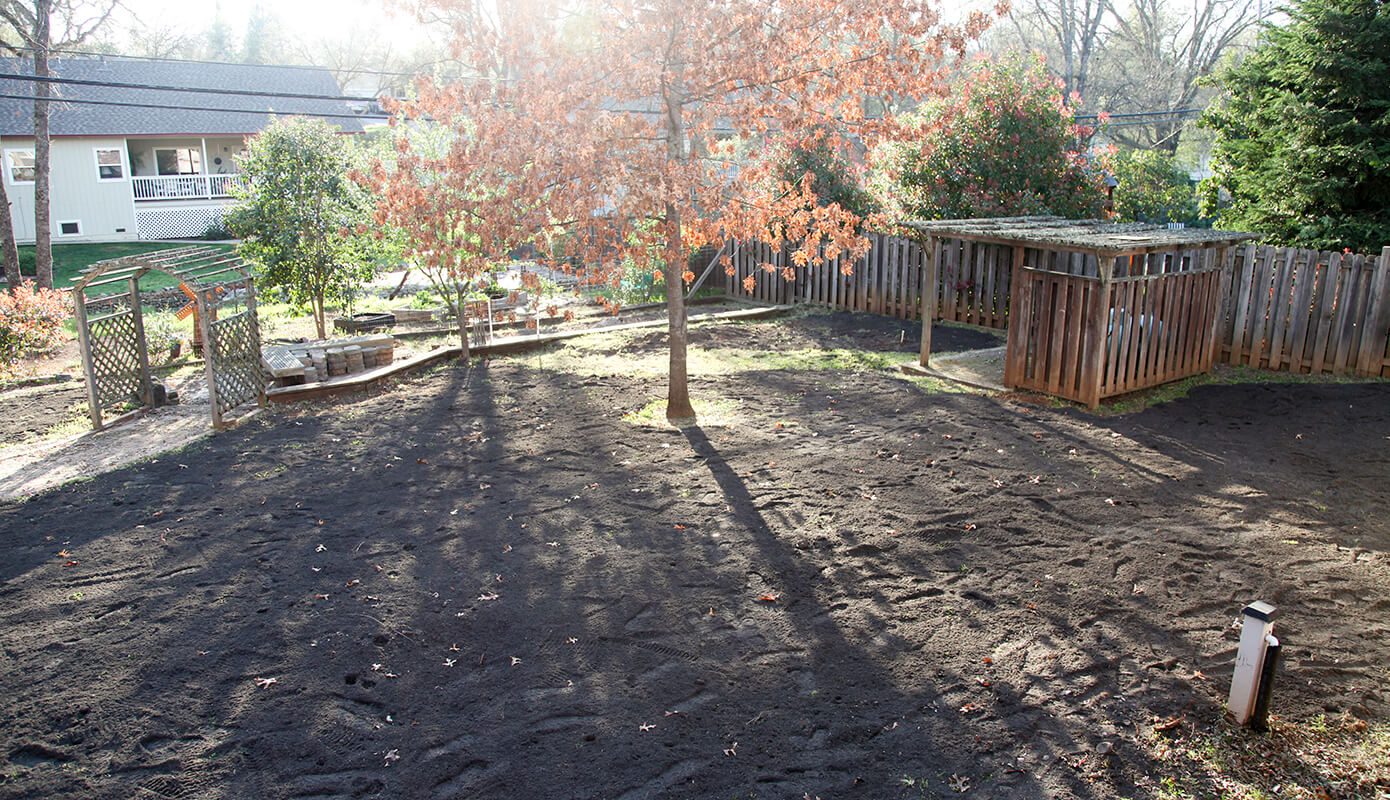 New soil and irrigation in the backyard