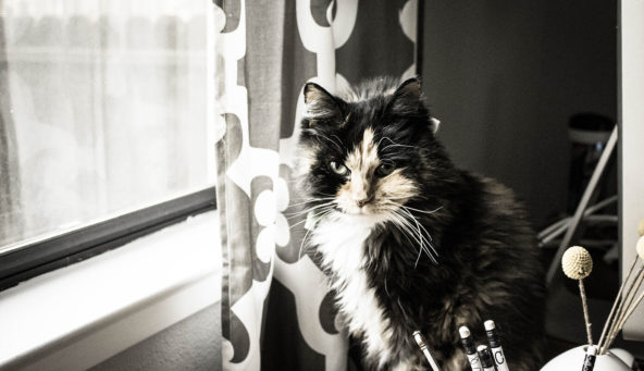 Bella