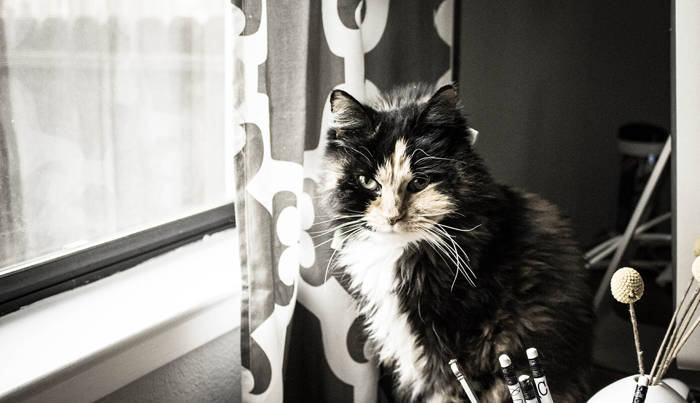 Bella