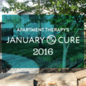 The 2016 January Cure #thejanuarycure