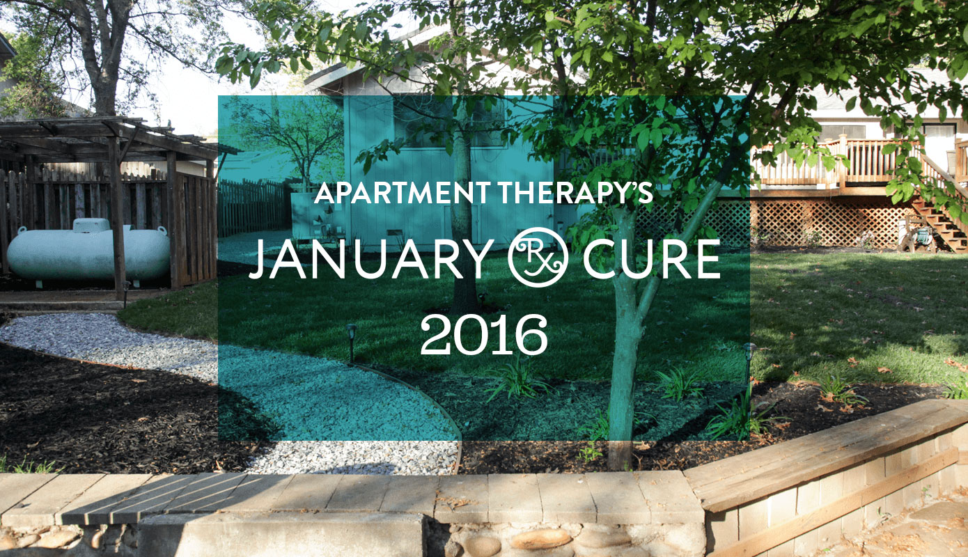 The 2016 January Cure #thejanuarycure