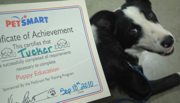 Tucker's graduation