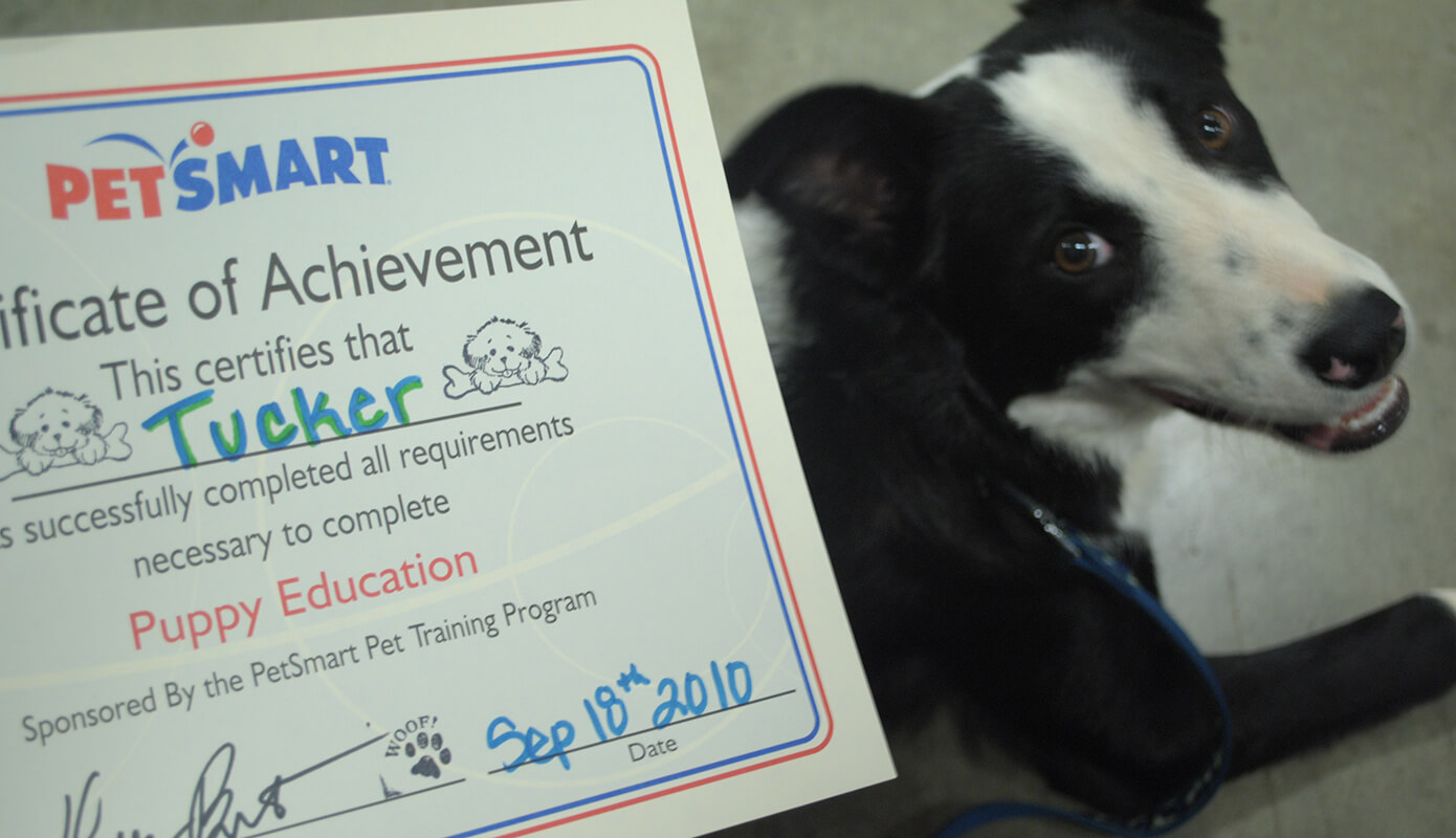 Tucker's graduation