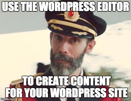 captain obvious wordpress editor