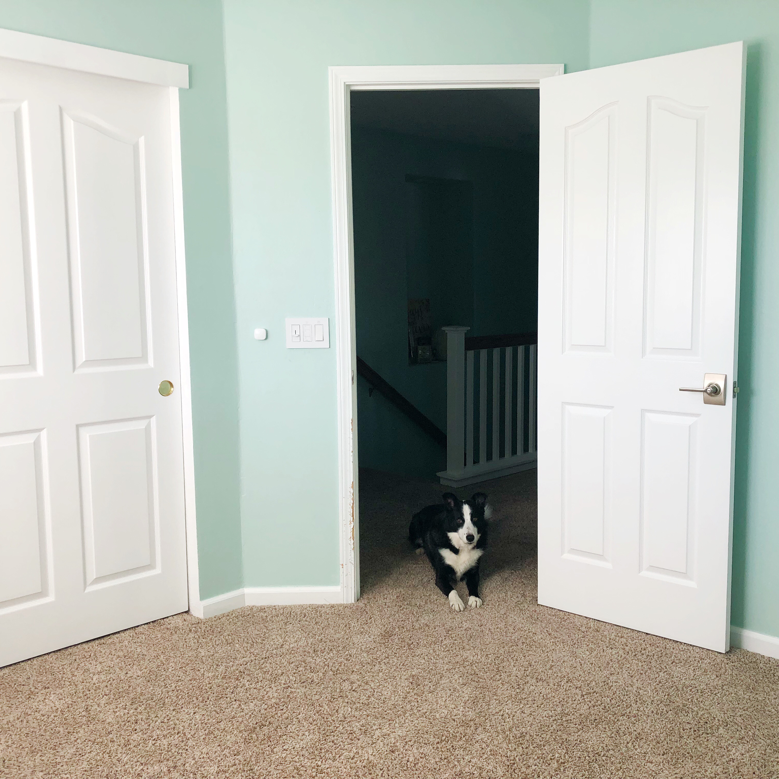 Tucker in the doorway