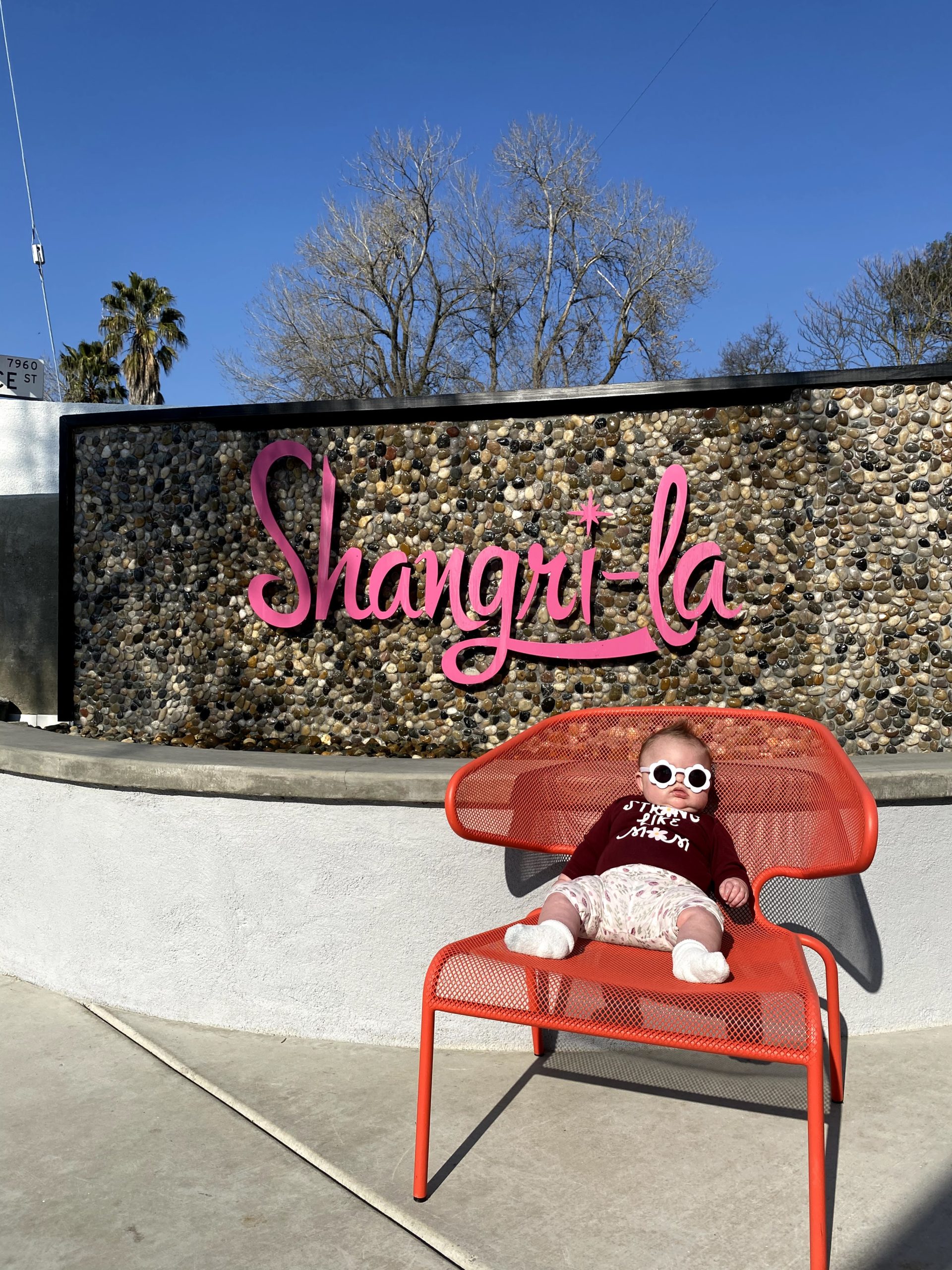 Lily hanging out at Shangri-La