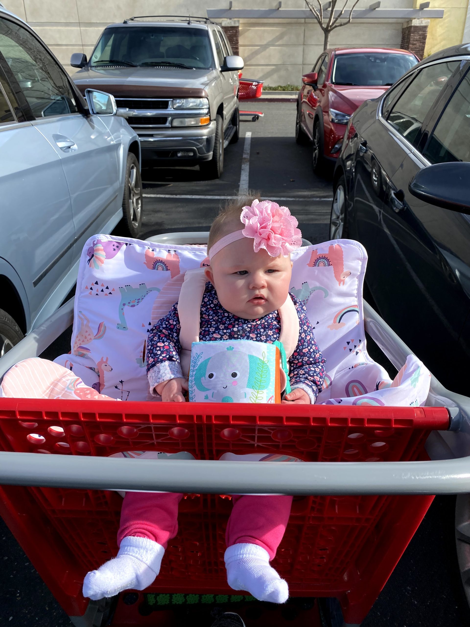 Lily in the shopping cart at Target