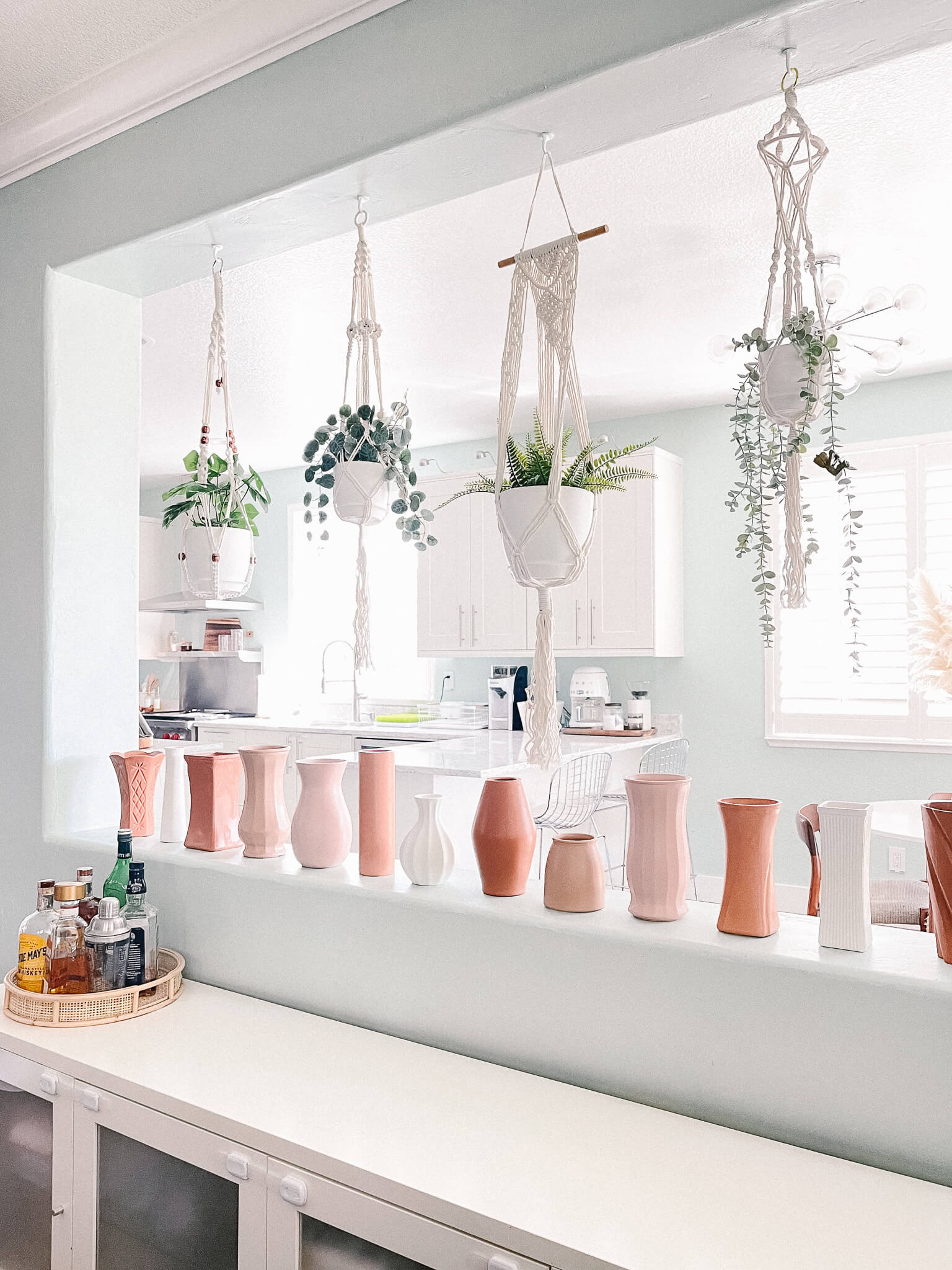 hanging plants and terracotta pottery