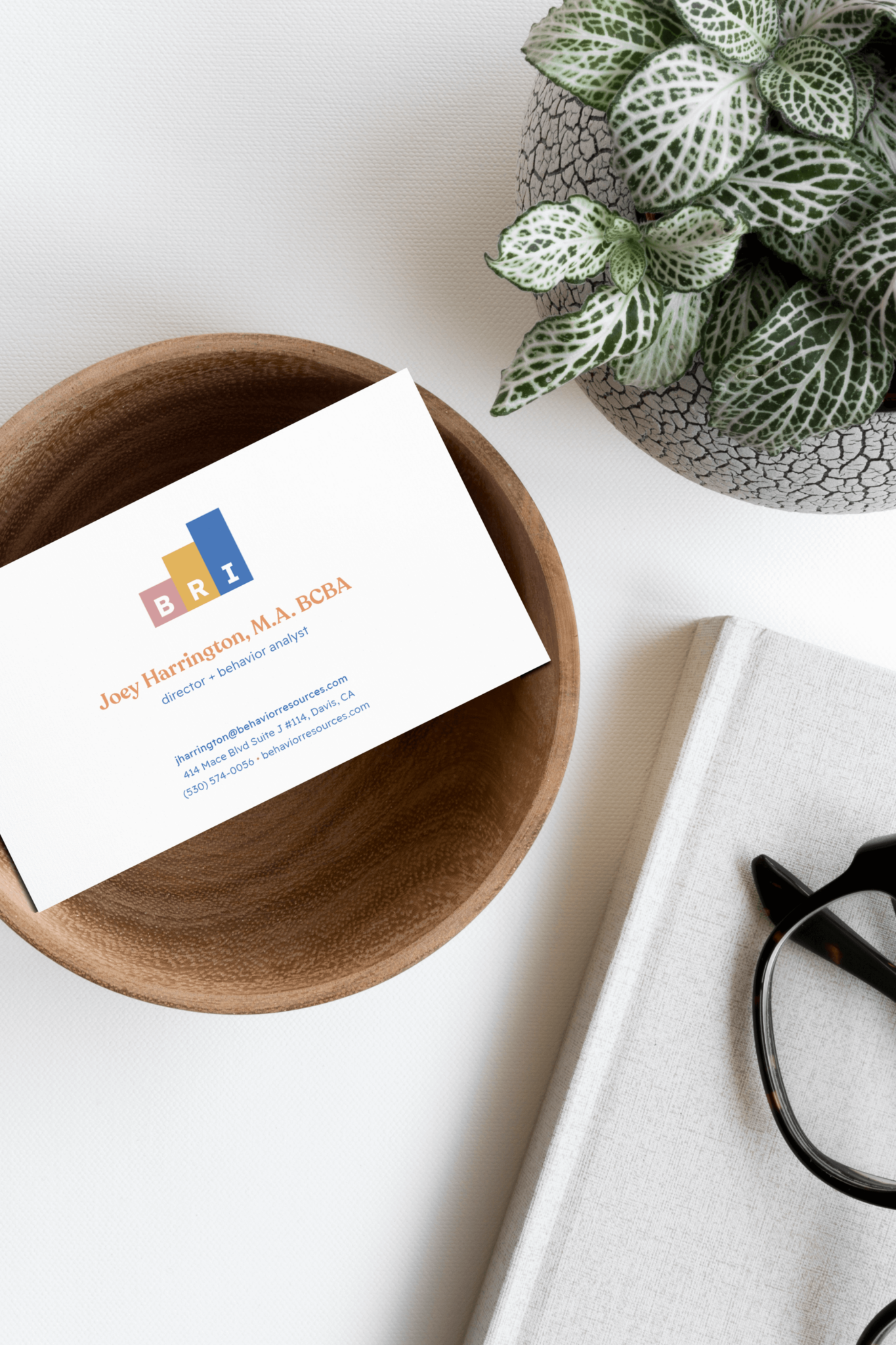 Behavior Resources, Inc. - The Lovely Geek®